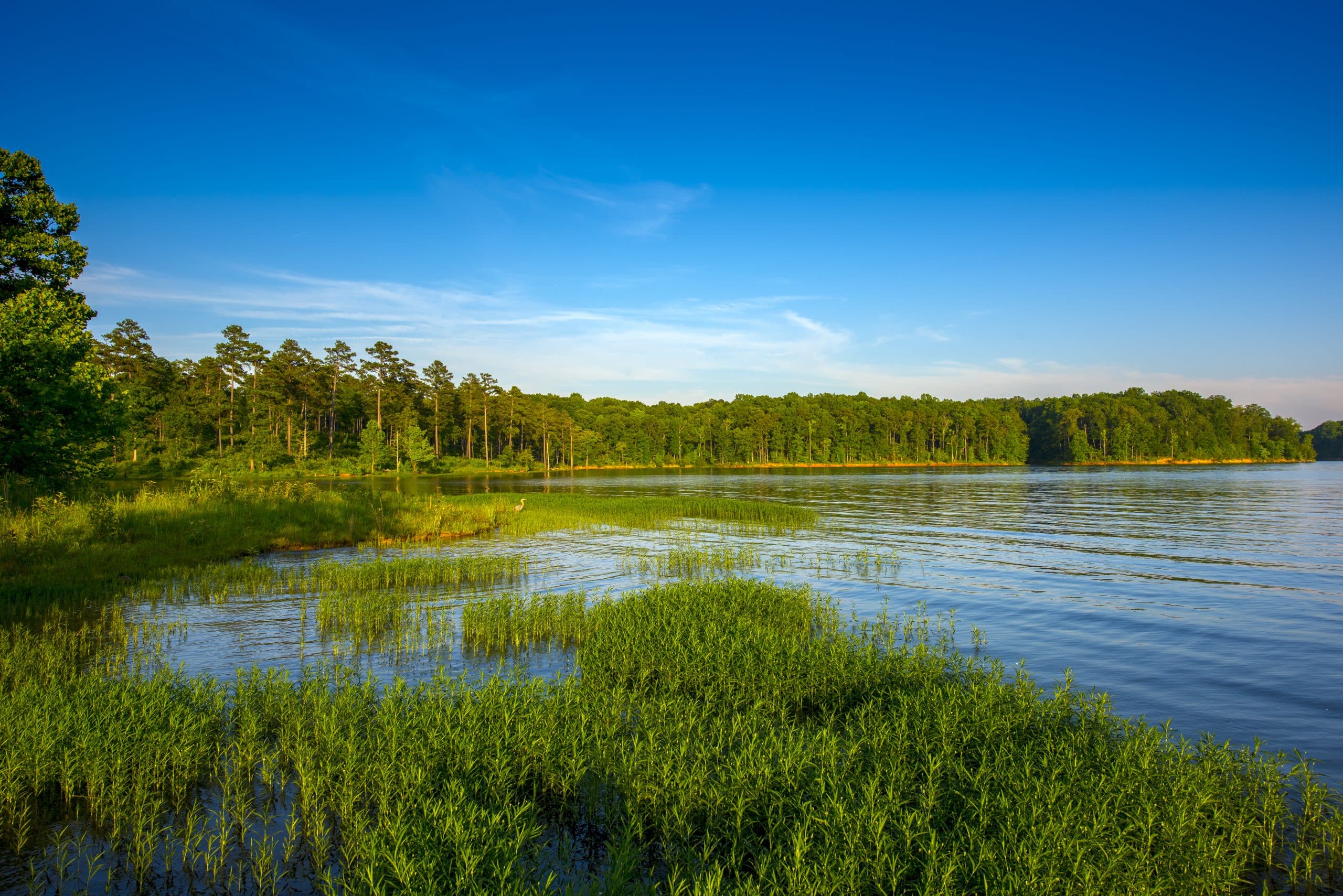 Comment concevoir des habitats durables pour la faune sauvage dans les zones urbaines ?